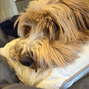 Meet your Posher, Keri